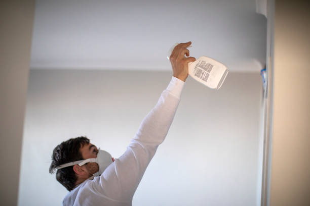 Best Affordable Mold Removal  in Fort Bragg, CA