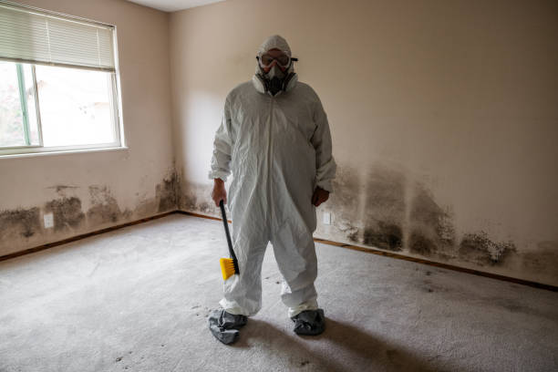 Best Mold Removal Company Near Me  in Fort Bragg, CA